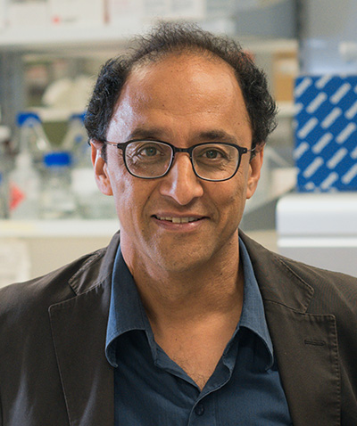 Professor Pankaj Sah, Director of the Queensland Brain Institute