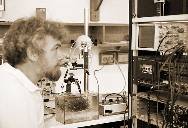Associate Professor Ian Lawn examines scientific equipment in a laboratory