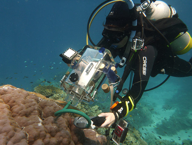 Researcher in underwater