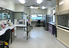 lab interior with fume hood and work stations