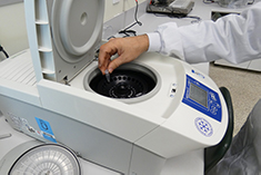 a researcher works with a microcentrifuge in the lab