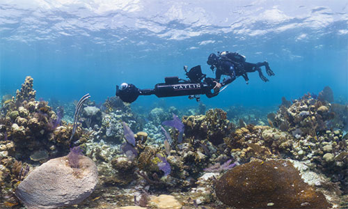Dr. Manuel González-Rivero piloting the SVII camera system. © Underwater Earth / XL Catlin Seaview Survey / Christophe Bailhache