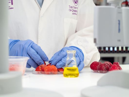 a close up of a scientist touching fruit