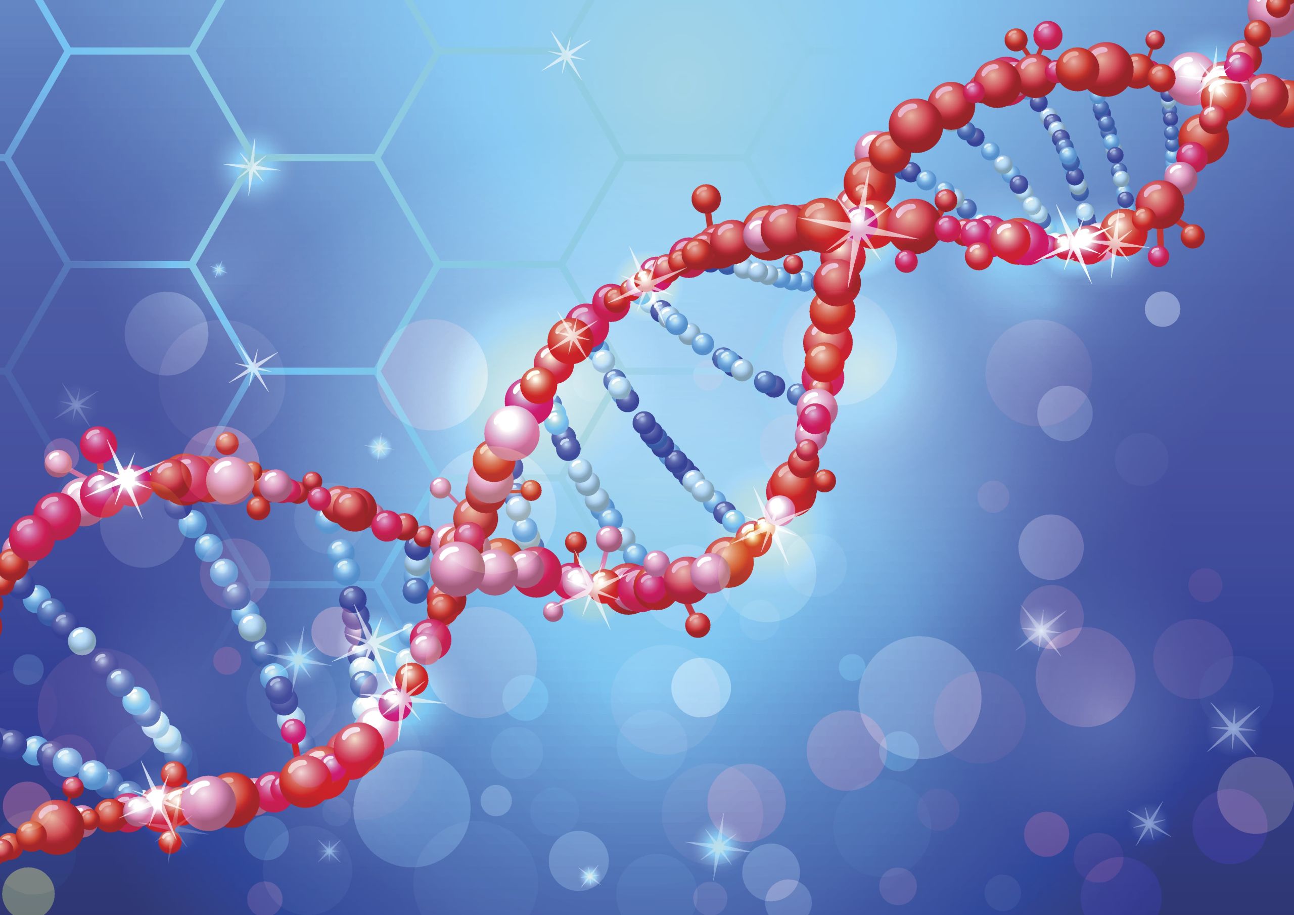 Endometriosis genetic risk factors