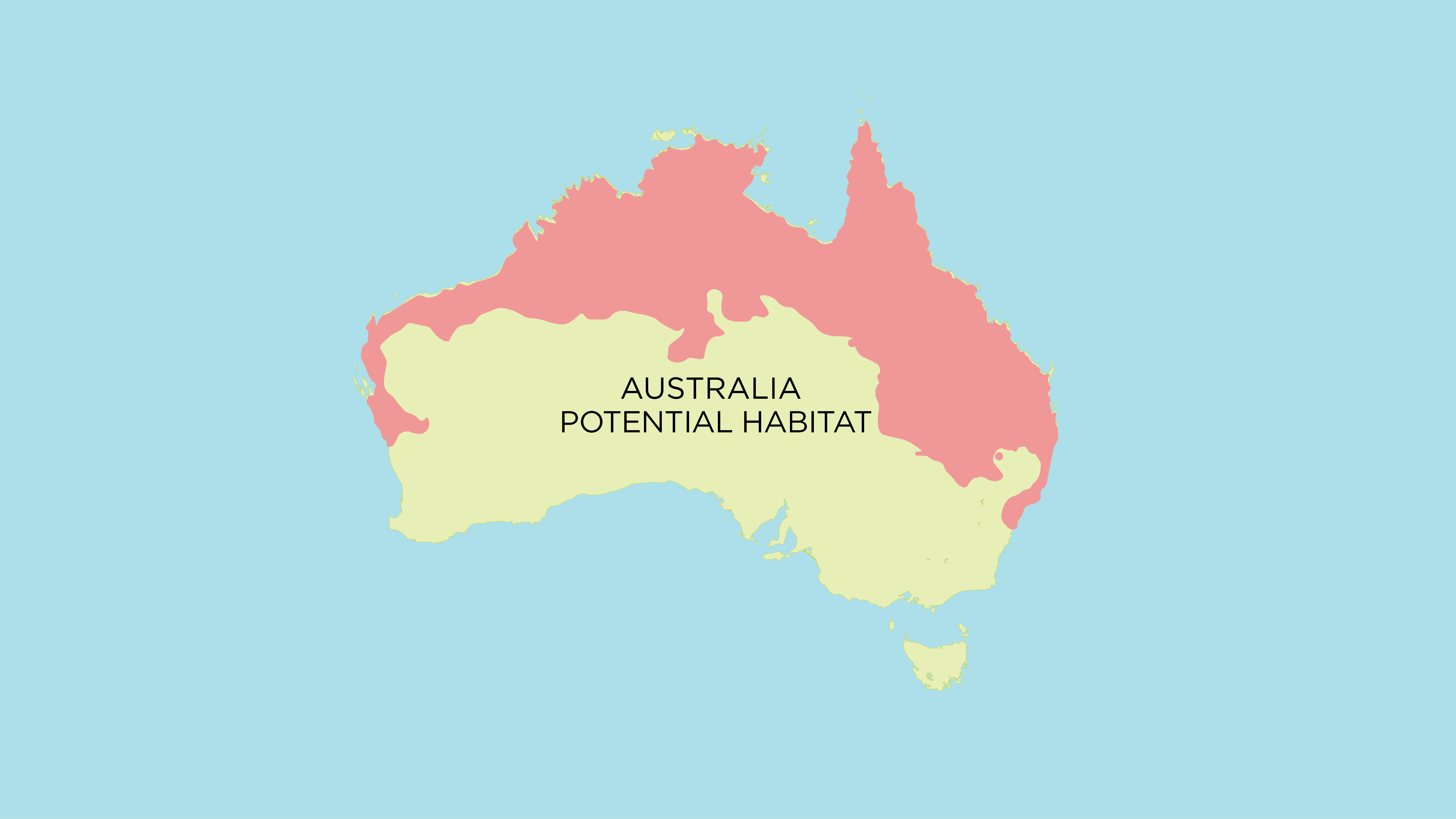 The spread of cane toads across Australia since 1935 when 101 were introduced to north Queensland (Source)