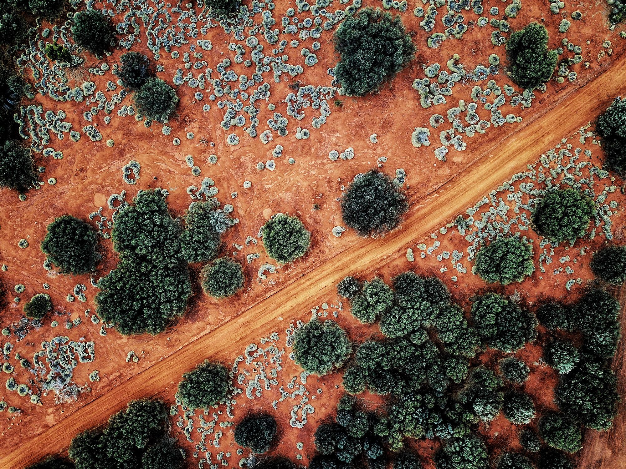 An Aerial shot of the red centre roads in the Australian Outback