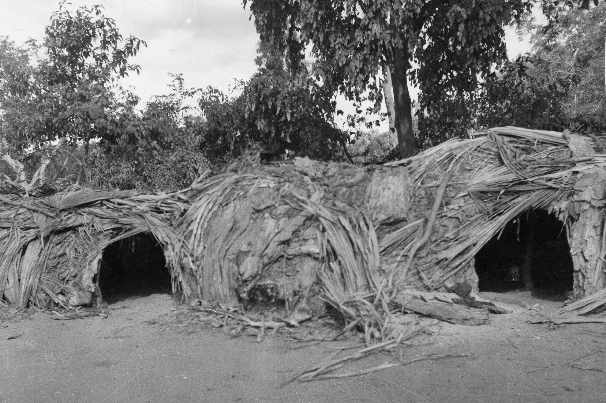Box fig structures
