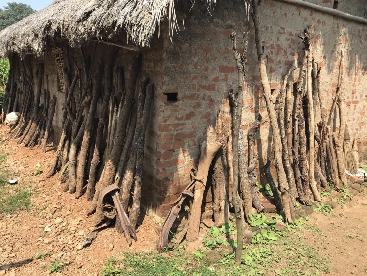 Firewood drying in the sun in Odisha, India.