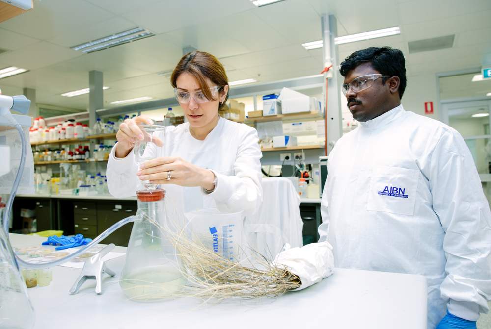 Dr Pratheep Annamalai and Dr Nasim Amiralian in the AIBN&#39;s labs