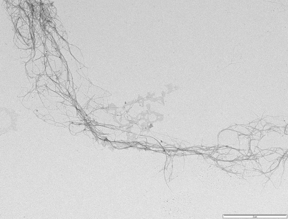 A close-up of the nanofibres found in spinifex grass