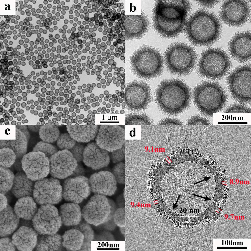 Nanospheres viewed through transmission electron microscopy (a and b), scanning electron microscopy (c), and an electron tomography slice of a nanosphere (d)