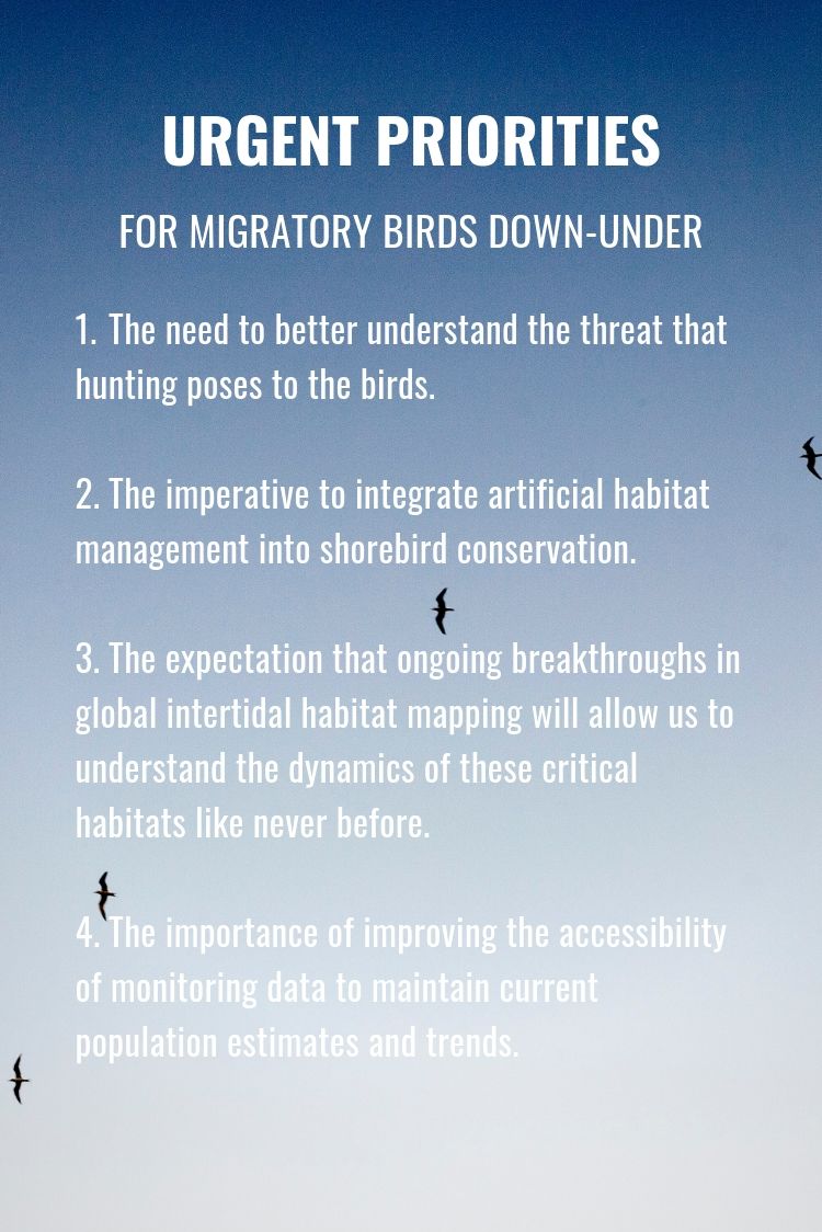 1. The need to better understand the threat that hunting poses to the birds. 2. The imperative to integrate artificial habitat management into shorebird conservation. 3. The expectation that ongoing breakthroughs in global intertidal habitat mapping will allow us to understand the dynamics of these critical habitats like never before. 4. The importance of improvement the accessibility of monitoring data to maintain current population estimates and trends.