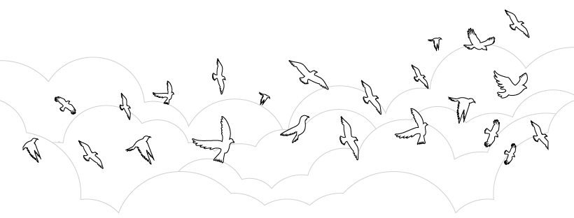 Vector image of birds flying over clouds