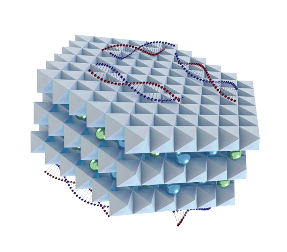 A scientific diagram of a clay nanoparticle used to deliver dsRNA onto crops.