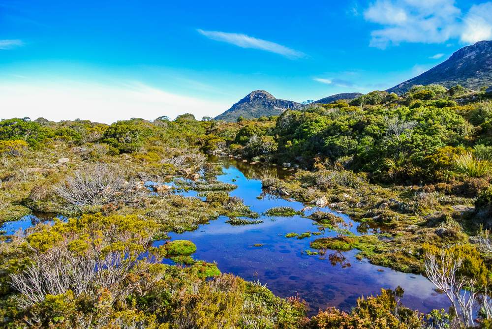 Carbon offsetting is helping conserve Tasmania’s wilderness - Hartz Mountains National Park, Tasmania.  iStock.com\/nicolemoraira