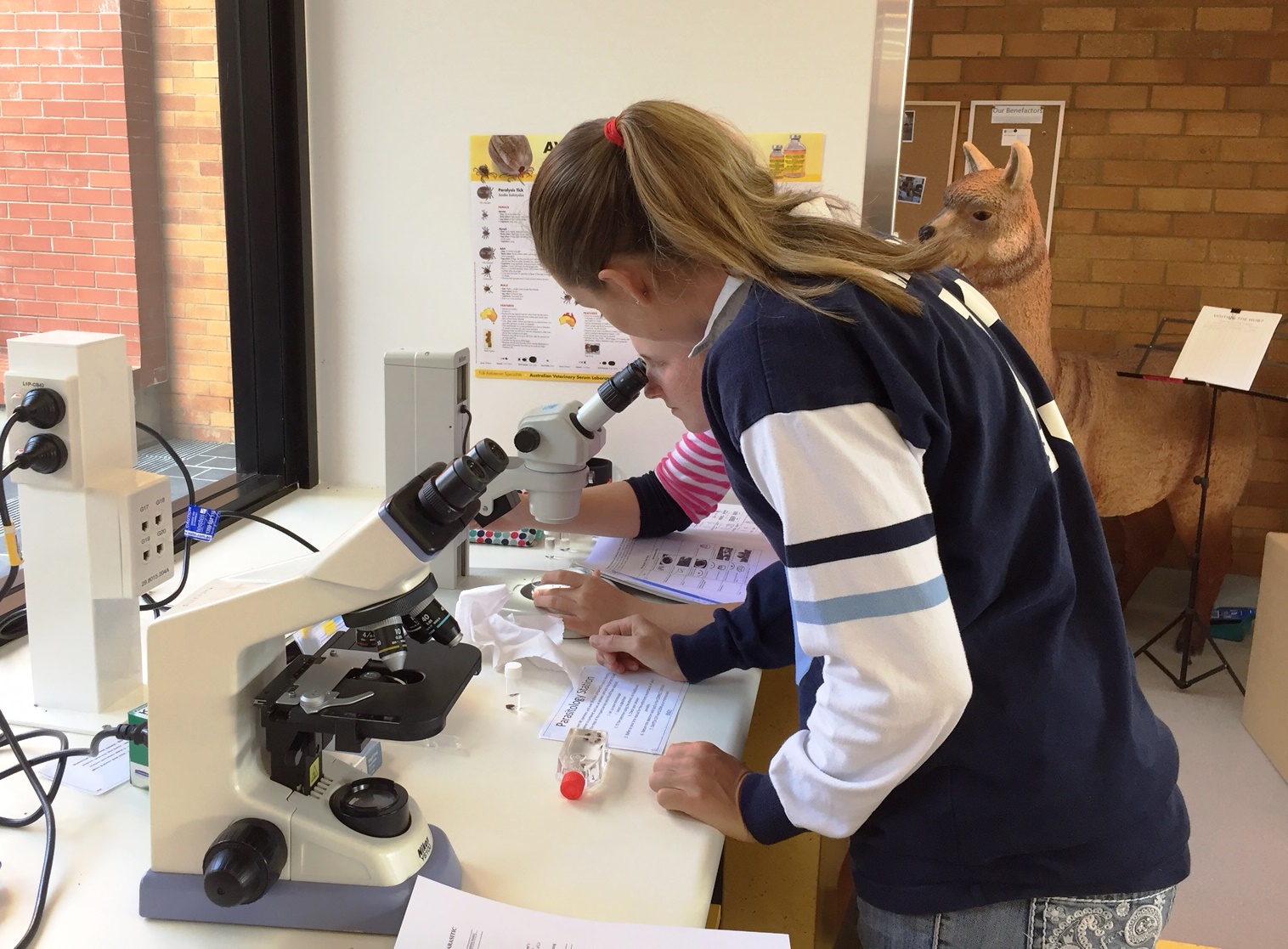 Second-year Vet Science students at parasite ID station.