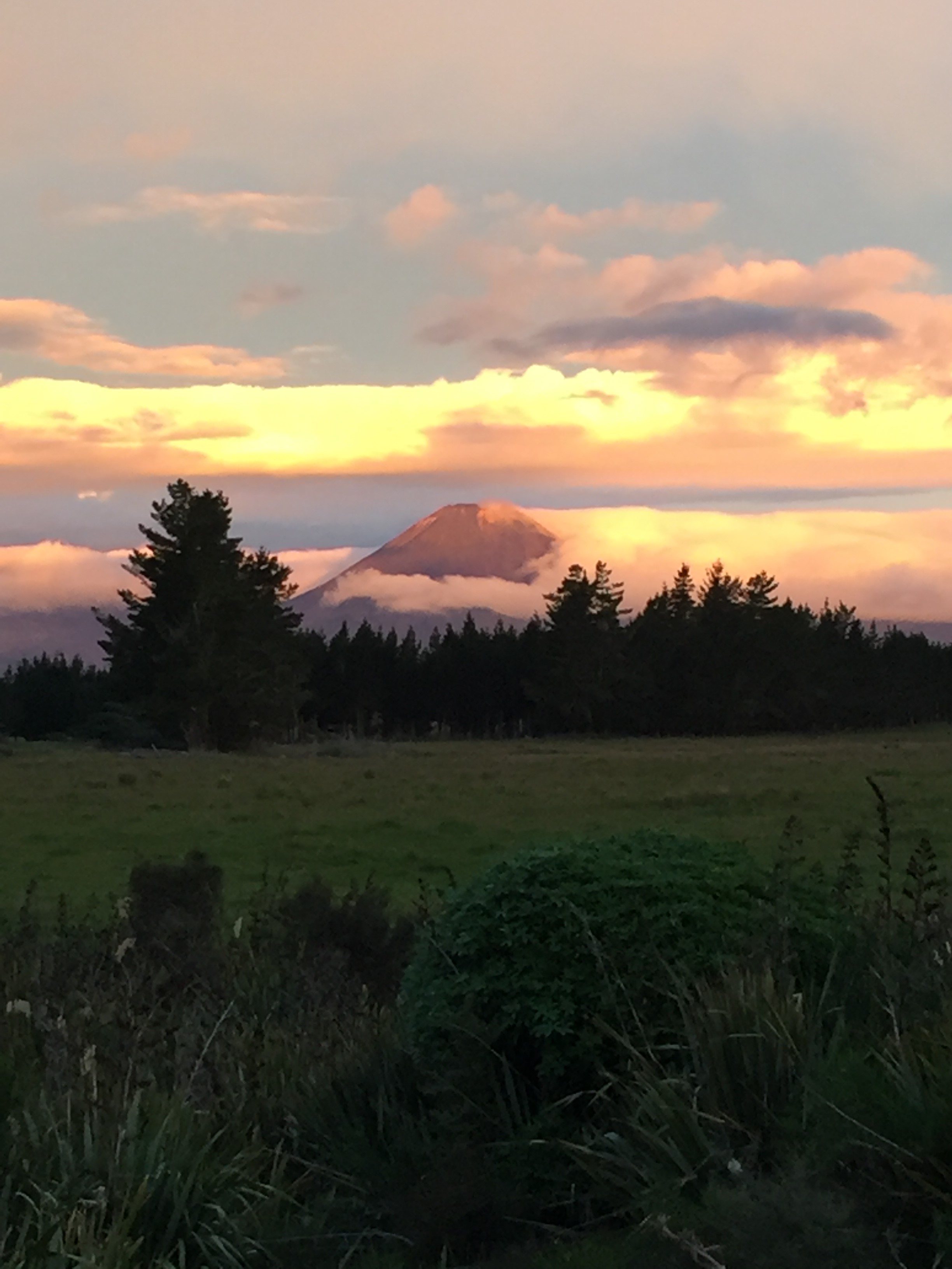 Another Ring of Fire volcano (Mt Ngauruhoe at the Tongariro Volcanic Complex, New Zealand).  Image courtesy Dr Teresa Ubide.