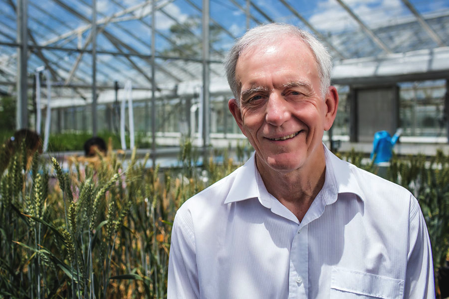 Professor Robert Henry 