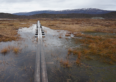 Derretimento do permafrost aumenta emissão de gases de efeito estufa, acelerando o aquecimento global