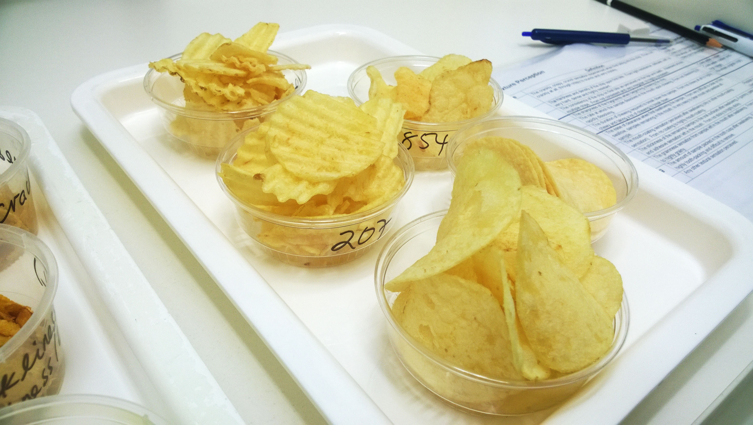 sample potato chips