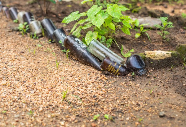 The garden of a pesticide self-harm survivor in  North Central Province,  Sri Lanka. Image courtesy of Heshani Eddleston of Centre for Pesticide Suicide Prevention (CPSP).