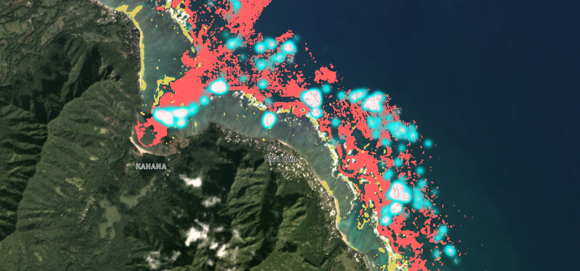 UQ-created reef habitat maps, with the superimposed blue colour representing coral bleaching. Credit: Allen Coral Atlas.