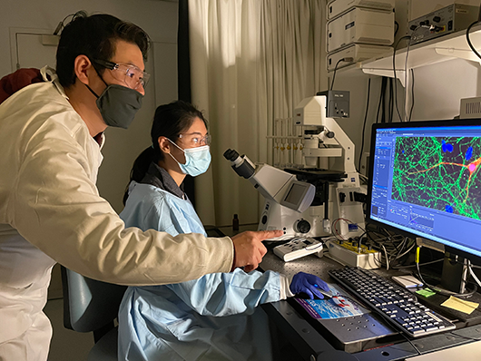 Scientists in a laboratory looking at a computer