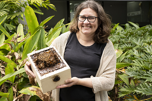 Dr Natasha Hungeford with a stingless bee hive. Image: University of Queensland