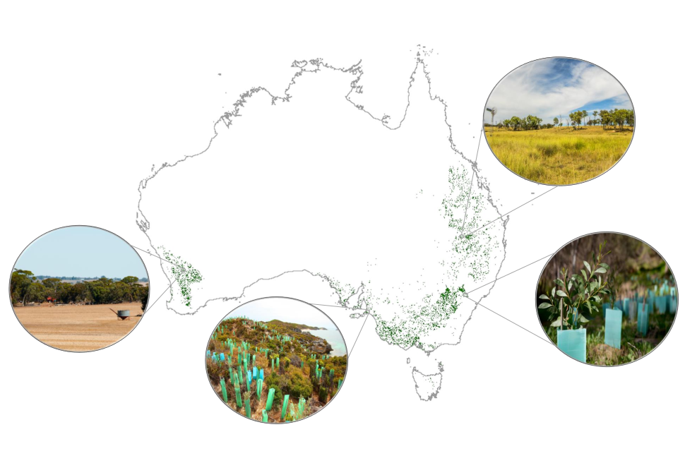 Map of Australia showing restoration in some regions 