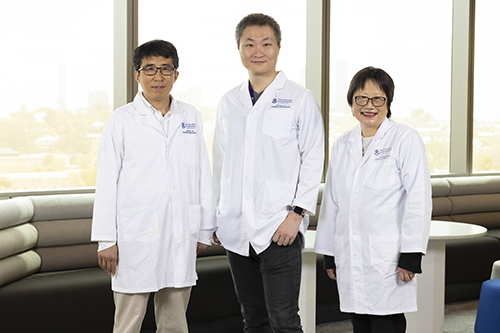 Professor Lianzhou Wang, Dr Jingwei Hou and Professor Vicki Chen.