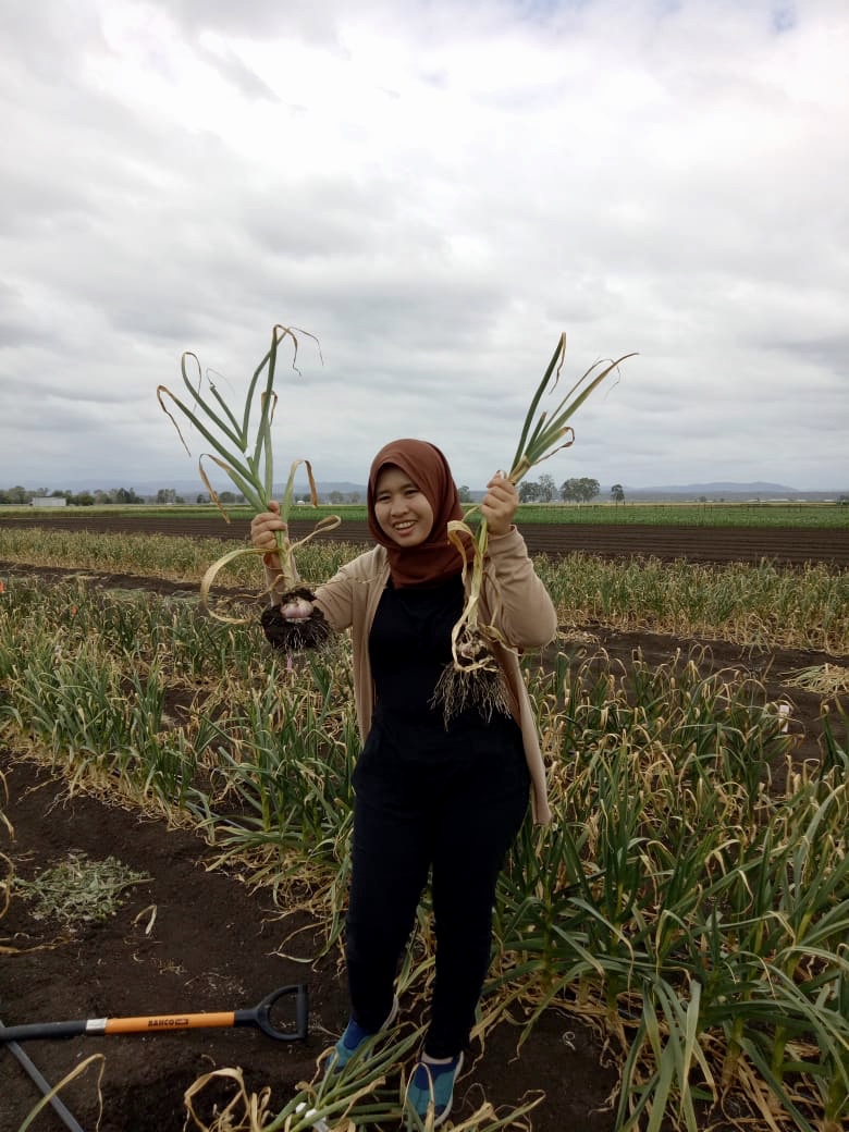 Sari Nurulita in a field with garlic crop. (C) Sari Nurulita