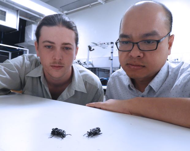Two scientists look at a beetle on a white surface.
