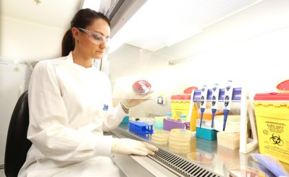 Researchers from IMB Centre for Superbug Solutions are aiming to stop antibiotic-resistant bacteria in their tracks. Researchers from IMB Centre for Superbug Solutions are aiming to stop antibiotic-resistant bacteria in their tracks.