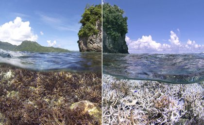 A before and after of coral bleaching in American Samoa: XL Catlin Seaview Survey.