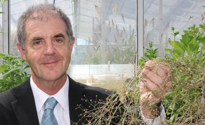 Professor David Craik said plants could be like biofactories for producing next-generation pharmaceuticals. Professor David Craik said plants could be like biofactories for producing next-generation pharmaceuticals.