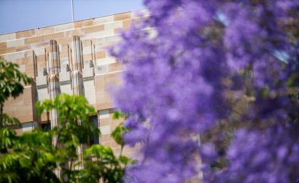 Jacaranda trees bloom in front of a sandstone UQ building.