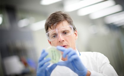 Professor David Paterson Professor David Paterson