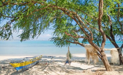 Timor-Leste is one of the countries that will feel the worst impacts from climate change. Timor-Leste is one of the countries that will feel the worst impacts from climate change.
