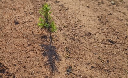 The majority of Queensland is in drought