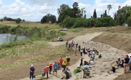 Volunteers planting trees on the Lockyer Creek banks 