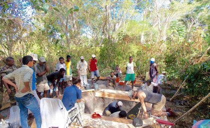 Ancient crops provide clue to Madagascar’s past Ancient crops provide clue to Madagascar’s past