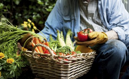 Silver nanoparticles could impact food grown in contaminated soil.