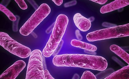 World health authorities estimate antimicrobial resistant superbugs will kill 10 million people a year by 2050.