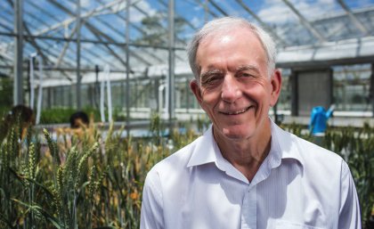Professor Robert Henry ... discovery turns half a century of plant biology on its head