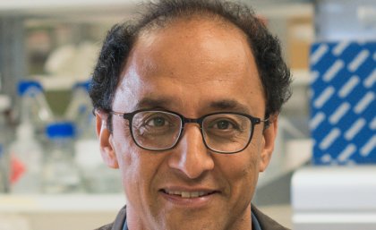Professor Pankaj Sah - UQ Researchers