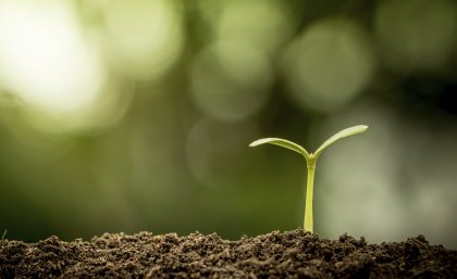 Life sciences at UQ have attracted a top-20 global placing in the ARWU ranking by Broad Subject Fields. Life sciences at UQ have attracted a top-20 global placing in the ARWU ranking by Broad Subject Fields.