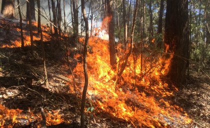 Bushfire 2016: Connecting Science, People and Practice will tackle the burning questions.