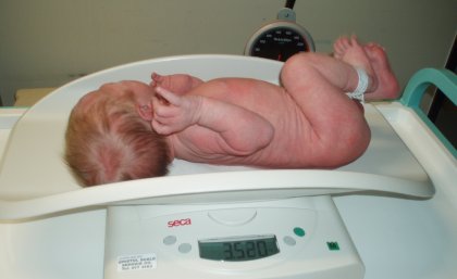 Genes can help explain why some babies have a low birth weight. Genes can help explain why some babies have a low birth weight.