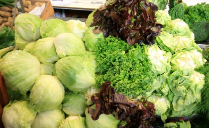 More than 300 people in Victoria and South Australia suffered food poisoning in salmonella outbreaks this year linked with bagged salads and sprouts.