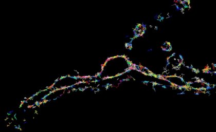 Protein essential for neuronal communication viewed via super-resolution microscopy